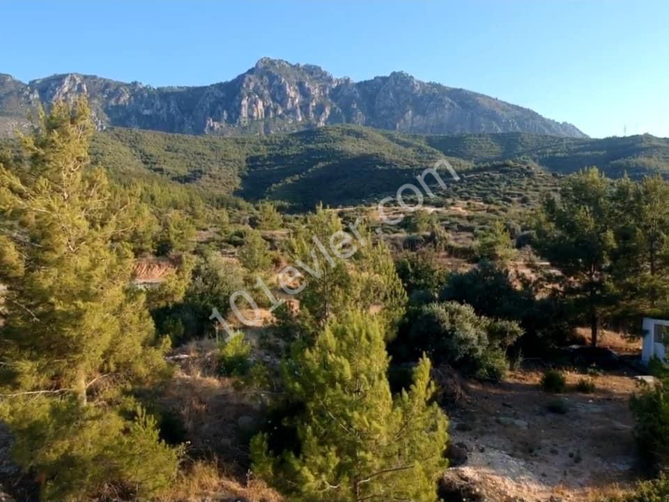 Residential Zoned Plot For Sale in Edremit, Kyrenia