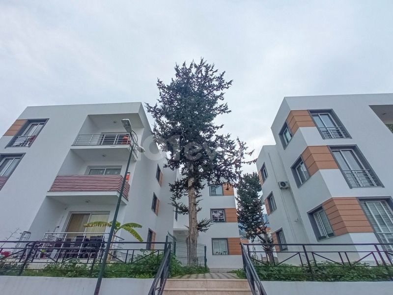 2+1 apartment.  Alsancak 