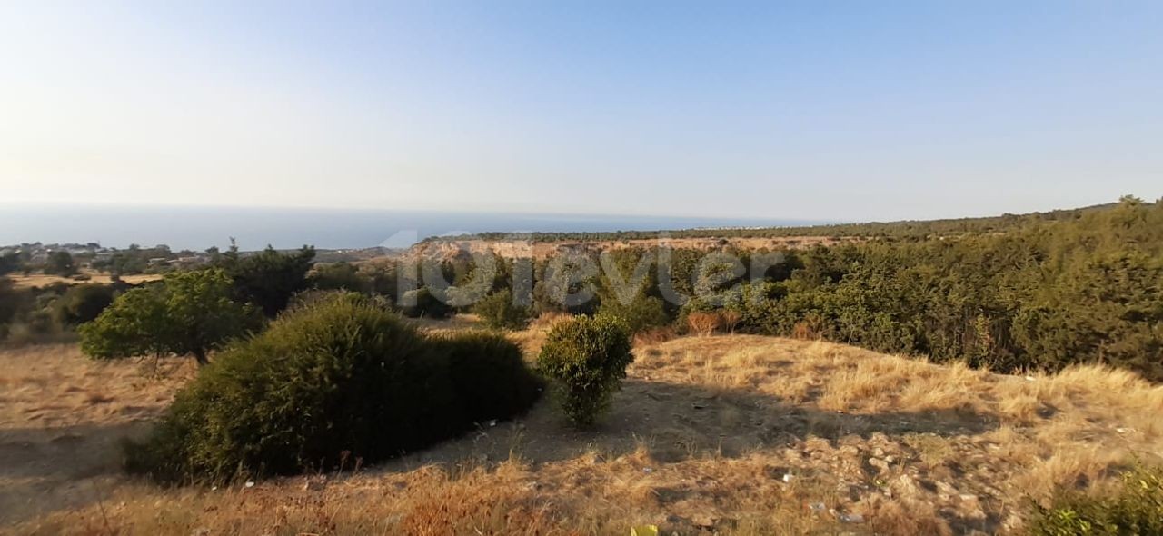 DETACHED HOUSE FOR SALE IN KYRENIA ELM ** 