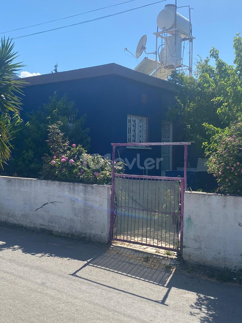 Flat To Rent in Lapta, Kyrenia