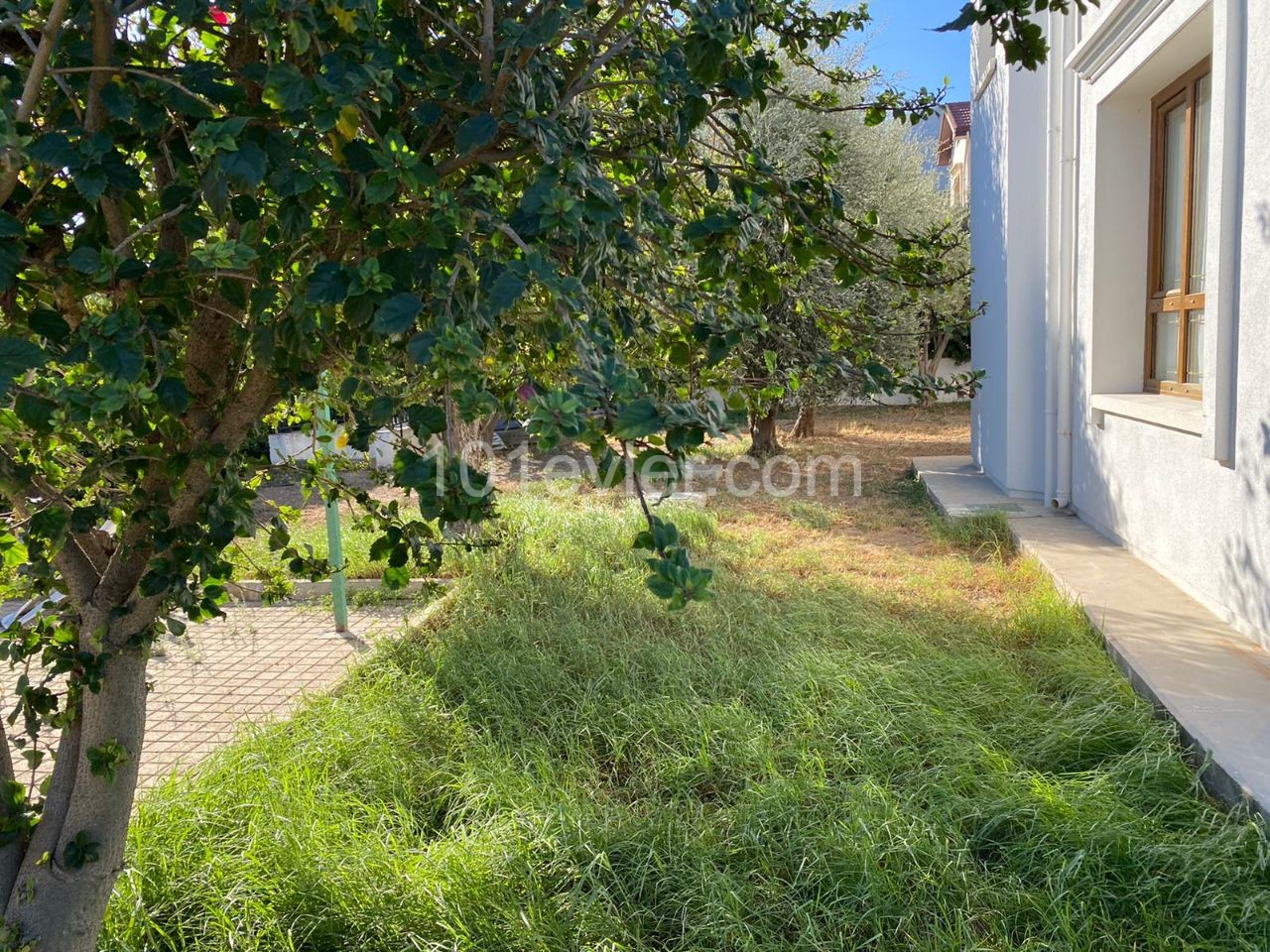 Girne Alsancak'ta 4+1 250 m2 full eşyalı  1 dönüm arsa içerisinde deniz manzaralı kiralık müstakil villa aylık 10.500 TL