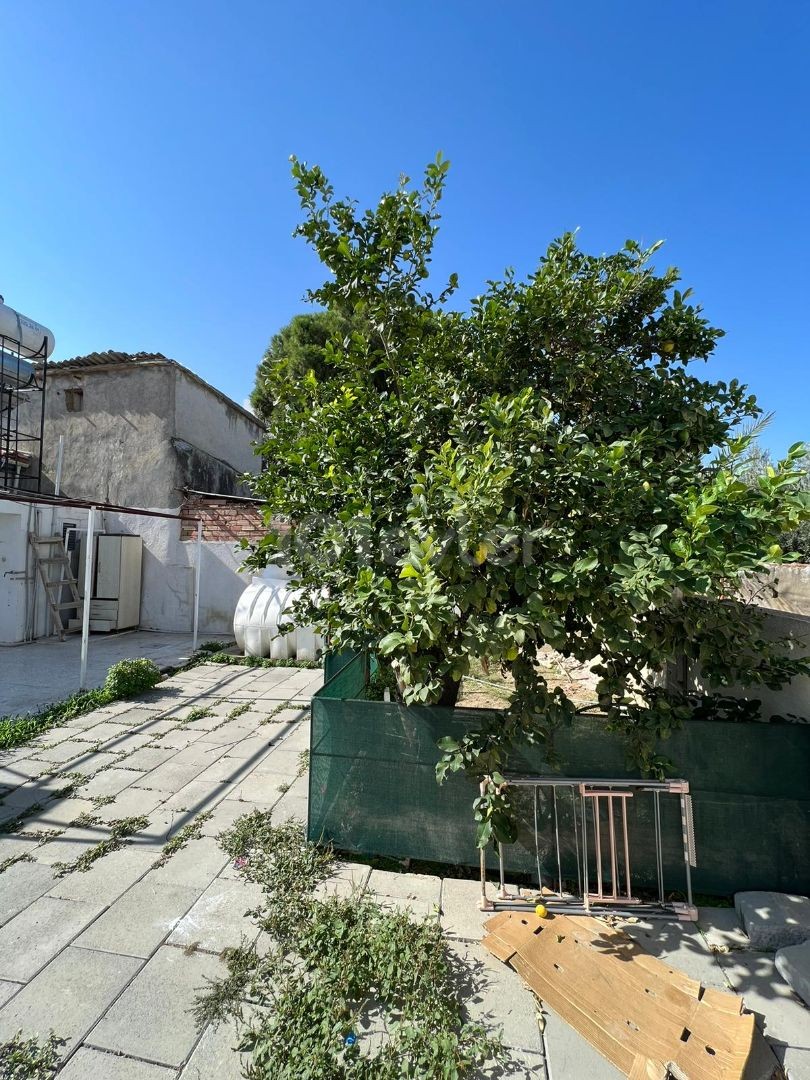 Detached House To Rent in Kızılbaş, Nicosia