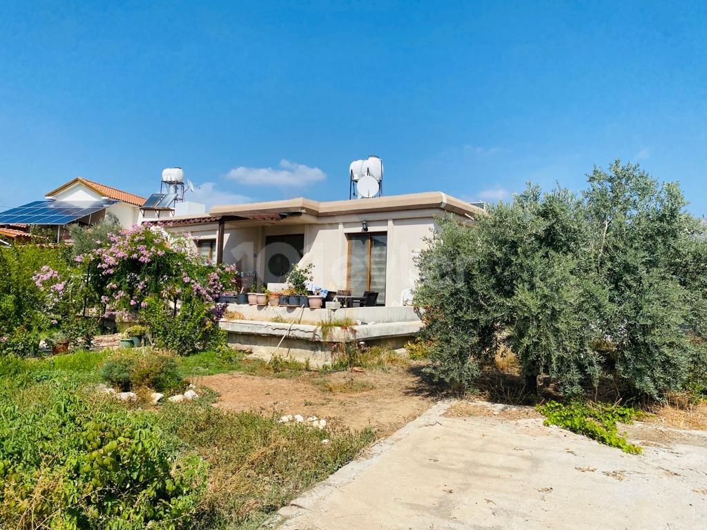 Einfamilienhaus Kaufen in Değirmenlik, Nikosia