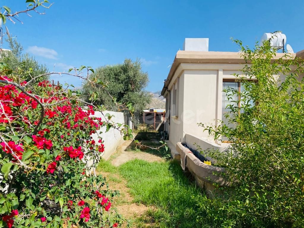 Einfamilienhaus Kaufen in Değirmenlik, Nikosia