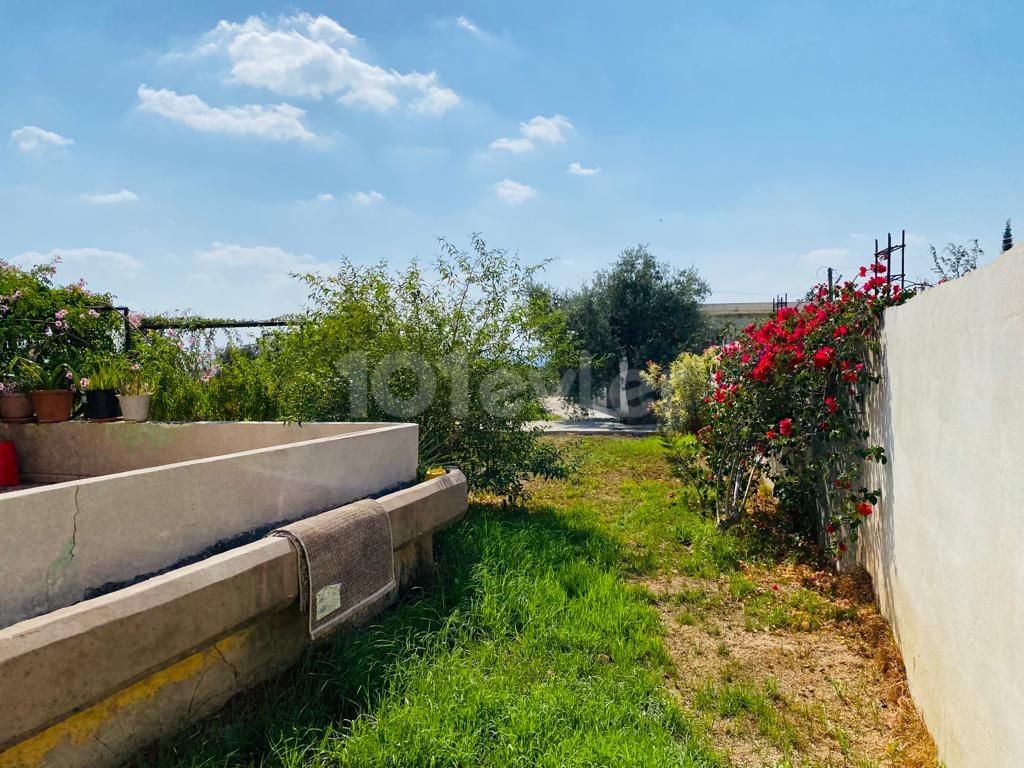 Einfamilienhaus Kaufen in Değirmenlik, Nikosia