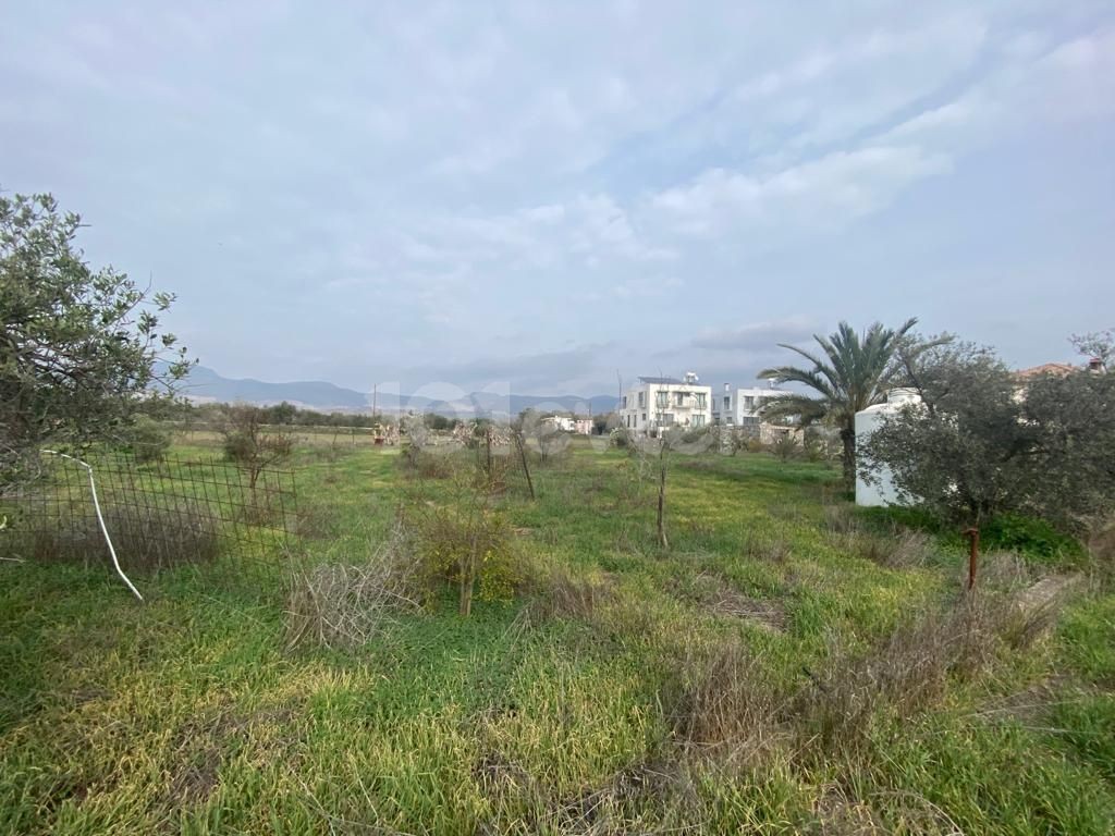 Detached House For Sale in Minareliköy, Nicosia