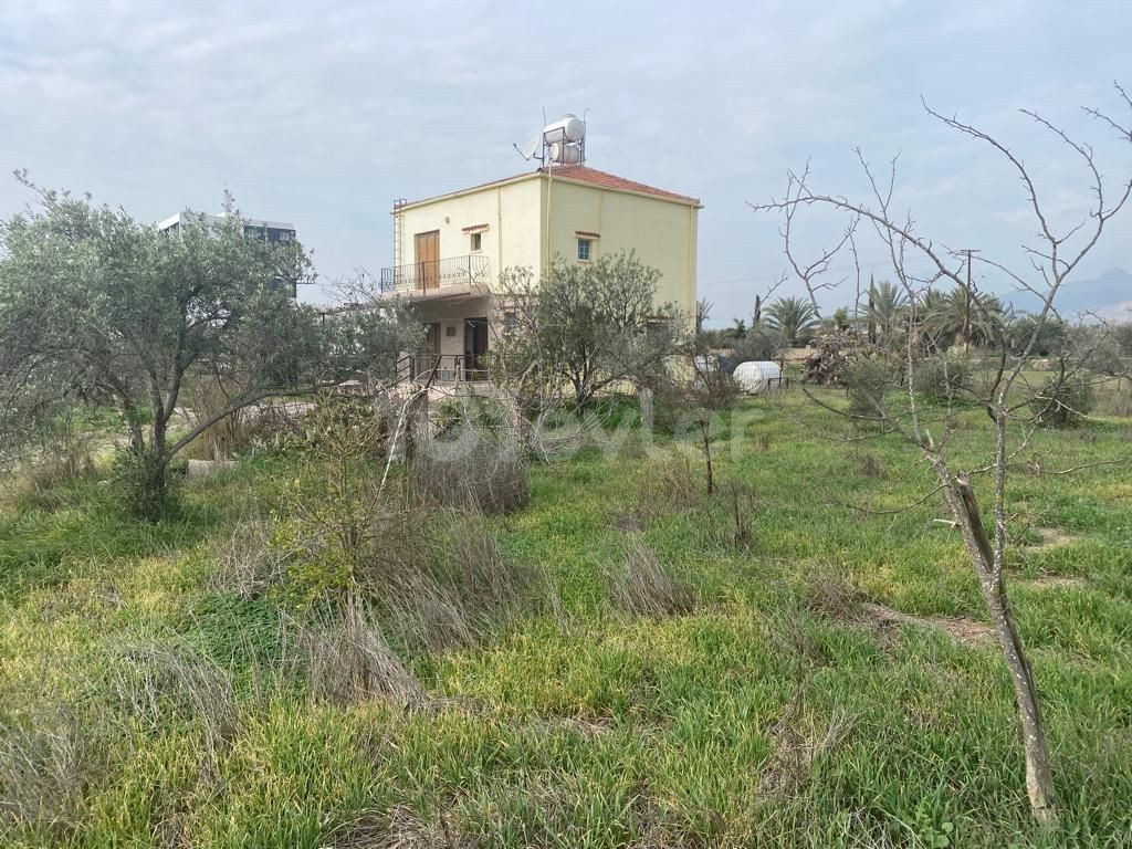 Detached House For Sale in Minareliköy, Nicosia