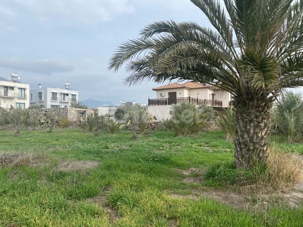 Detached House For Sale in Minareliköy, Nicosia