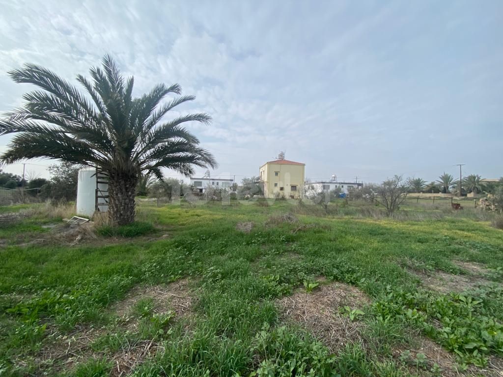 Einfamilienhaus Kaufen in Minareliköy, Nikosia