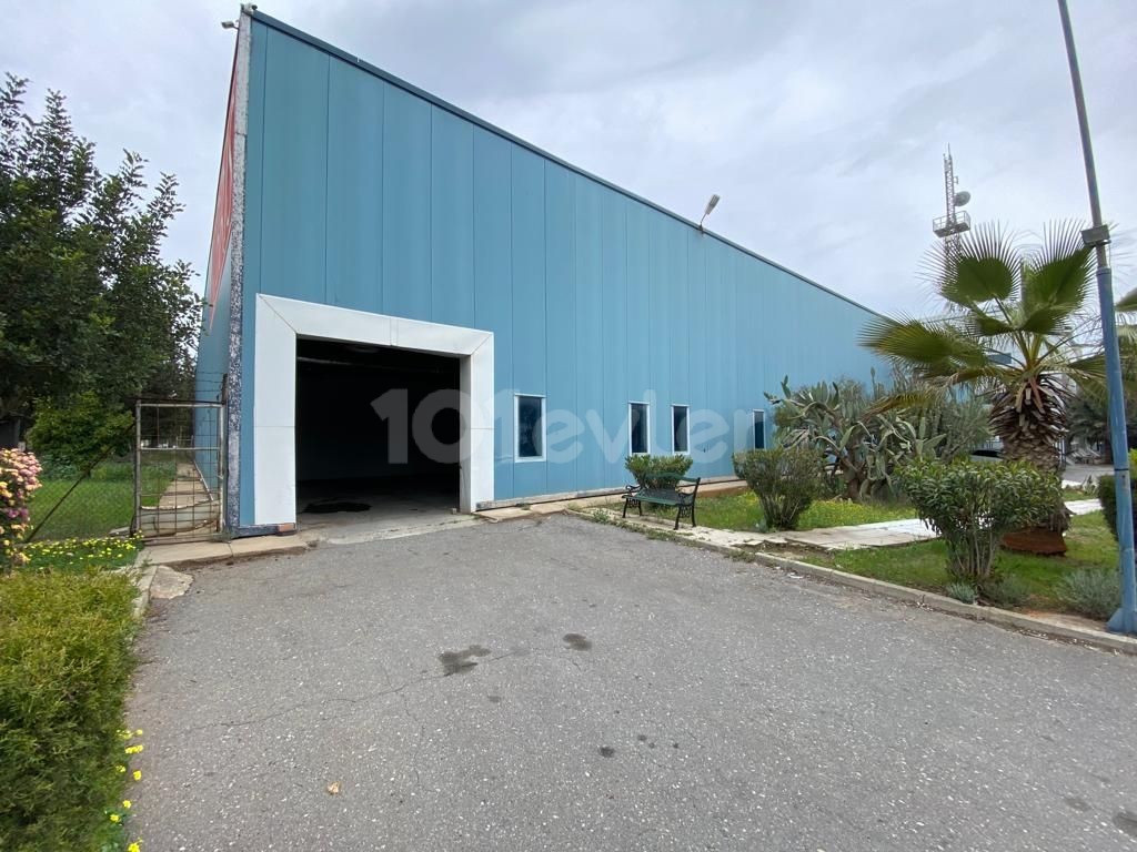 1000m2 Warehouse for Rent Next to Cyprus Newspaper 5,000stg 