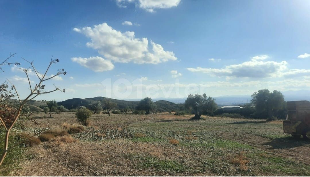 Taşkent’de  Harika  Bir  Manzaraya Sahip  Önü  Kapanmaz  Arazi