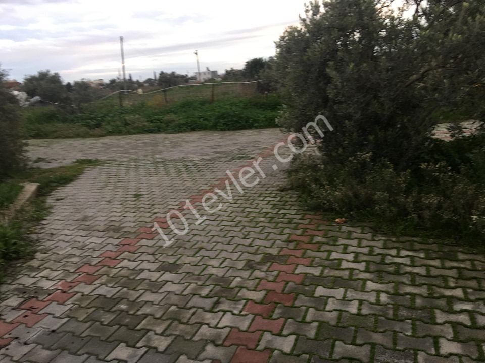 Einfamilienhaus Kaufen in Demirhan, Nikosia