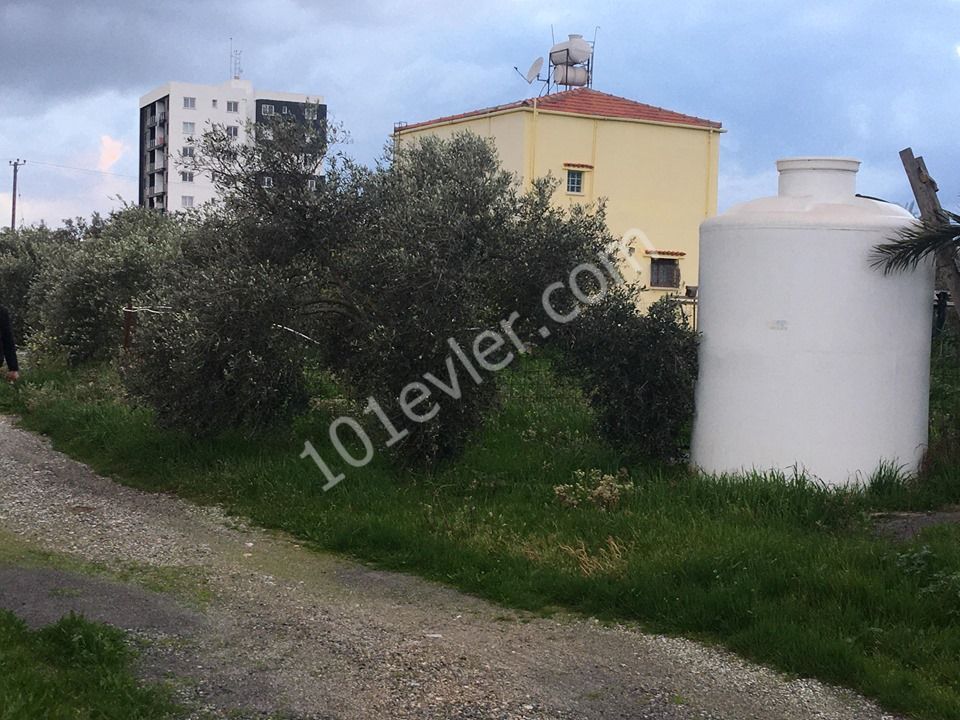 Einfamilienhaus Kaufen in Demirhan, Nikosia