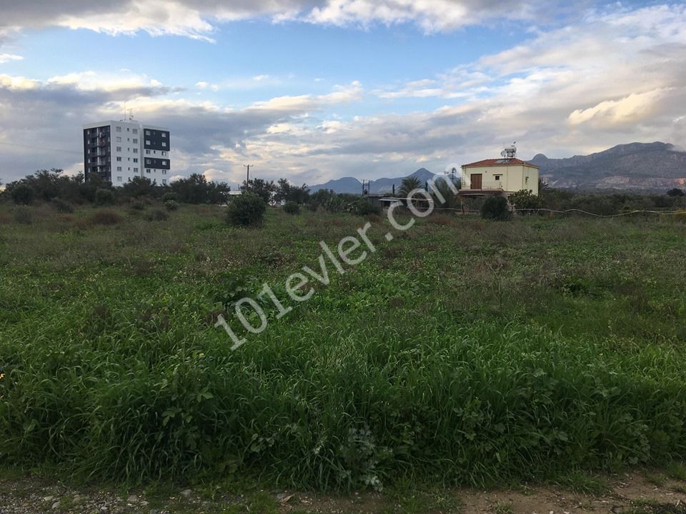 Einfamilienhaus Kaufen in Demirhan, Nikosia