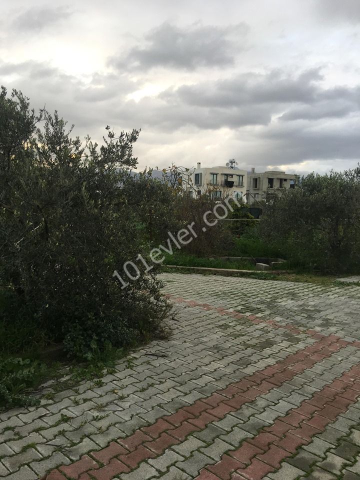 خانه مستقل برای فروش in Demirhan, نیکوزیا