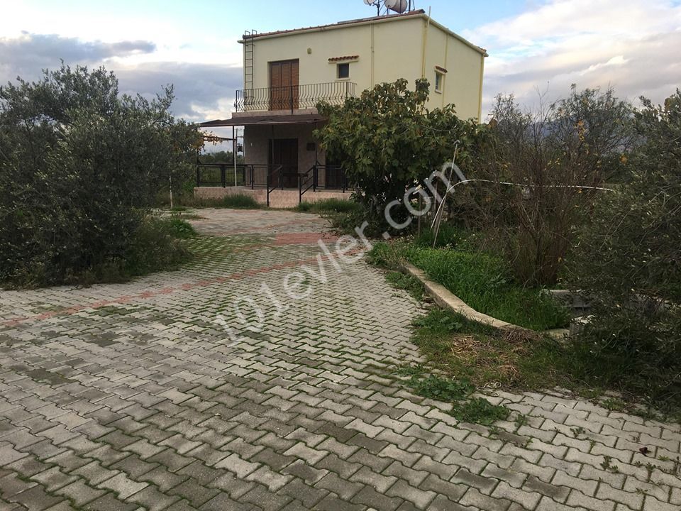 Einfamilienhaus Kaufen in Demirhan, Nikosia