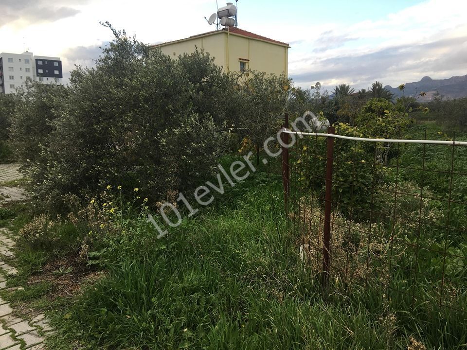 Einfamilienhaus Kaufen in Demirhan, Nikosia