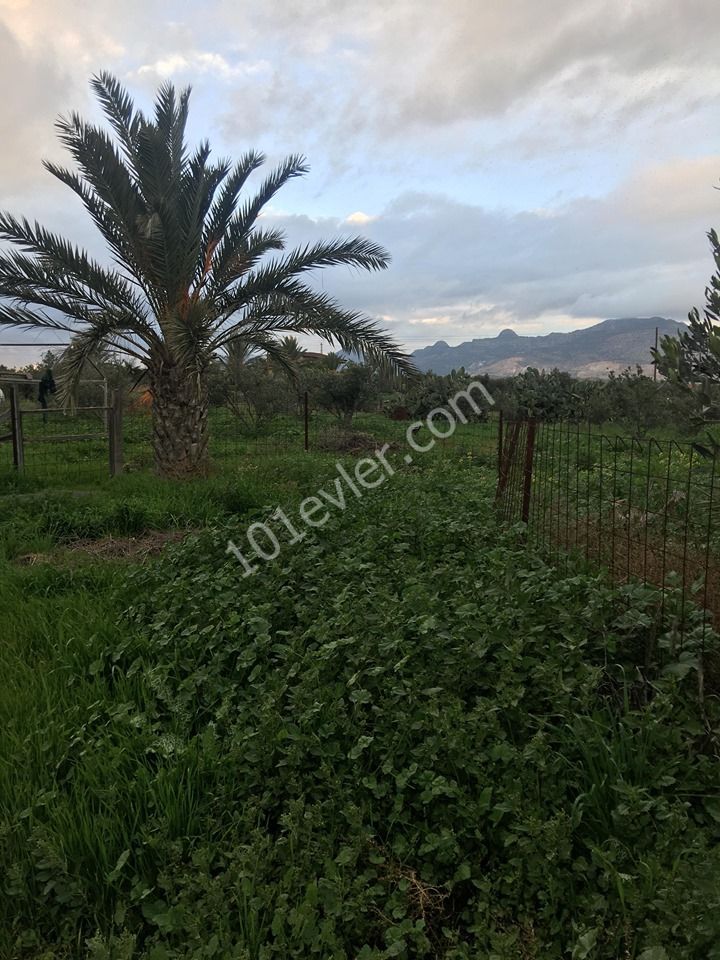 خانه مستقل برای فروش in Demirhan, نیکوزیا