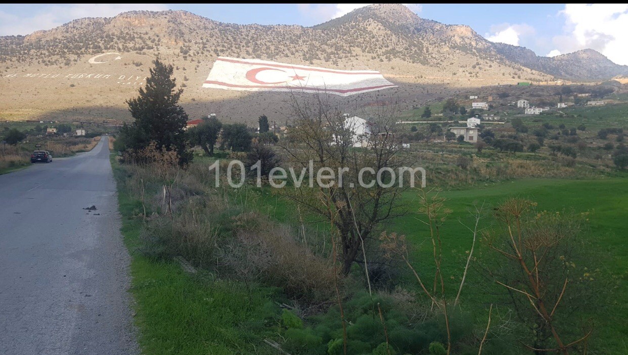 Land for sale in Tashkent ** 