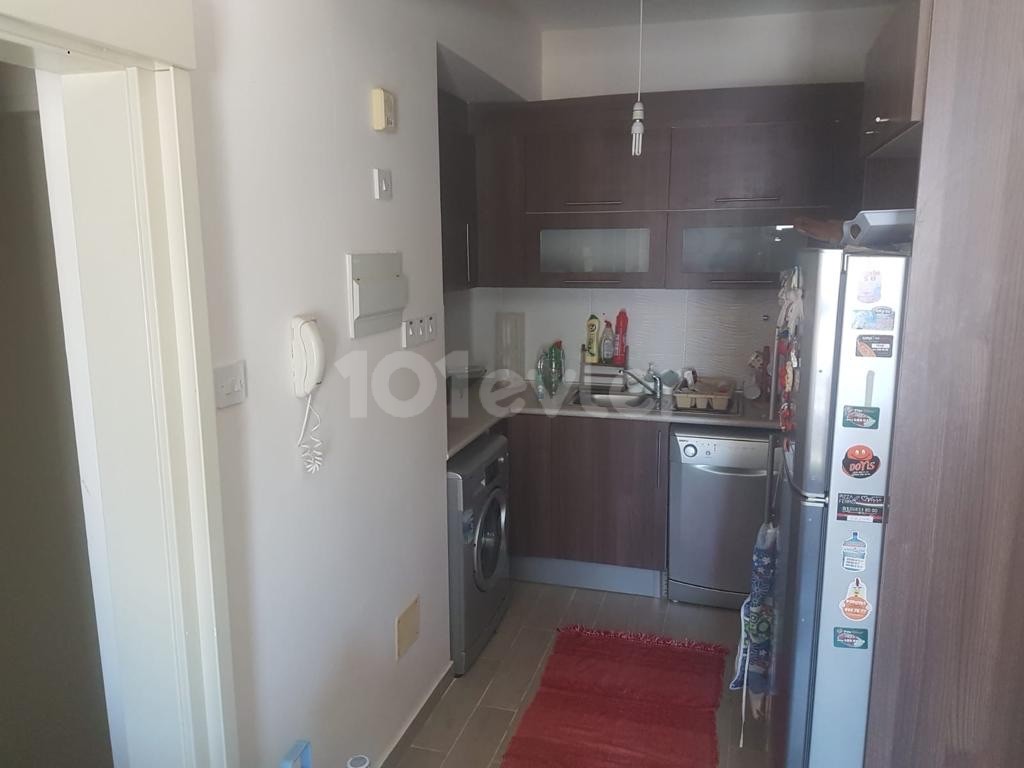 1+1 flat for rent on Salamis street in Famagusta, 5 minutes walking distance from the school ‼️