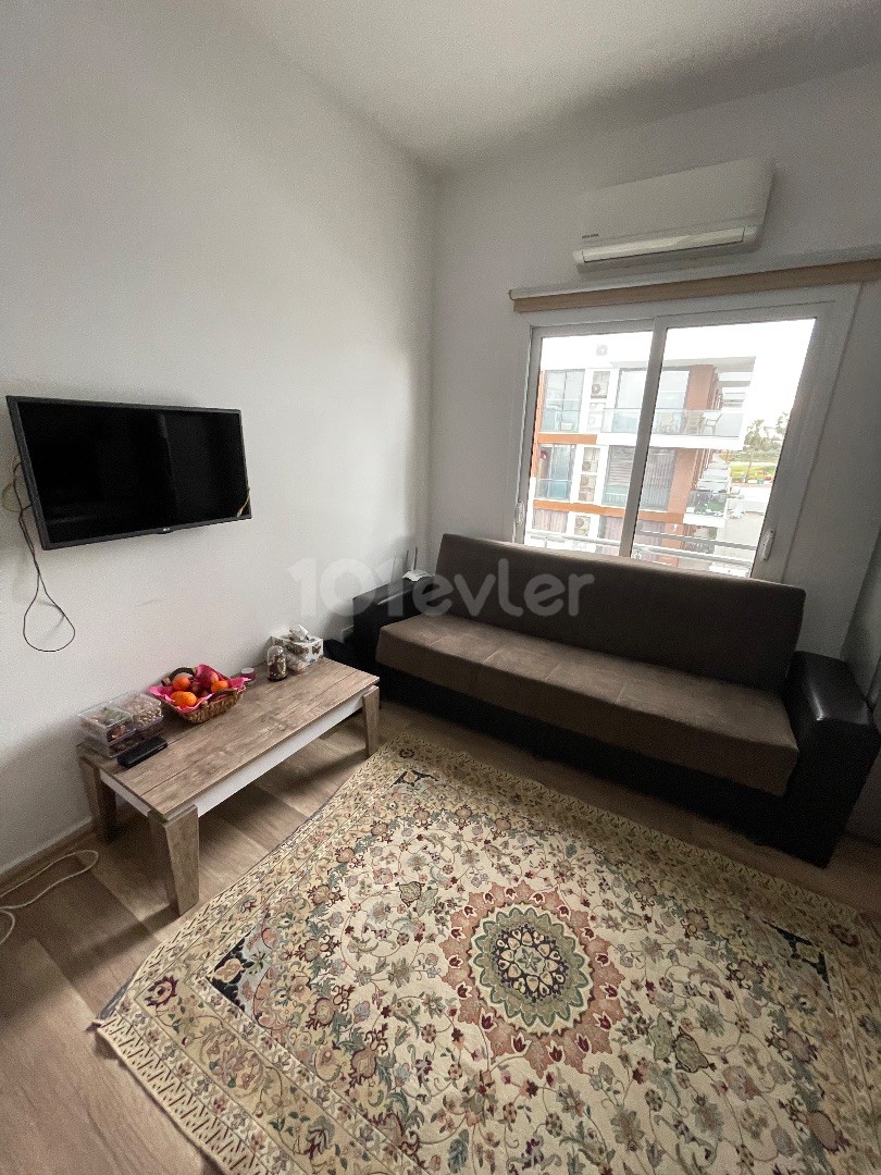 1 + 1 apartment for rent 10 minutes walking distance to Daü in Famagusta water internet dues weekly room cleaning included in the price with campaign prices for the summer ayırtın‼️