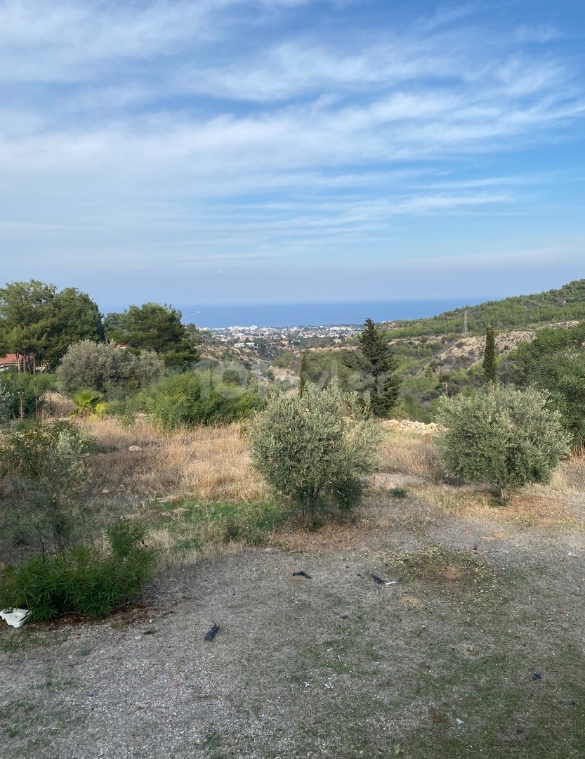 Villa zum Verkauf in Doğanköy, Kyrenia