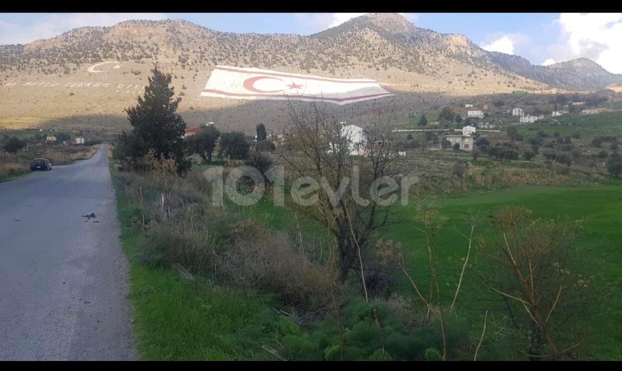 LAND FOR SALE IN TASHKENT