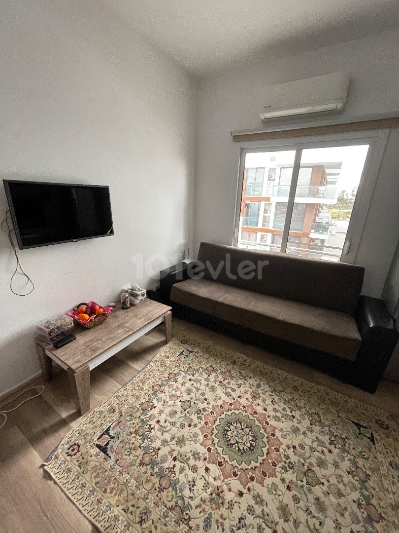 Affordable apartment for rent in the center of Famagusta, 10 minutes walking distance from EMU. Don't forget to reserve your place at promotional prices for July. ❕❕Water, internet dues, apartment cleaning are included in the price