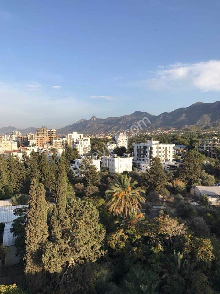 Geschäft Mieten in Girne Merkez, Kyrenia