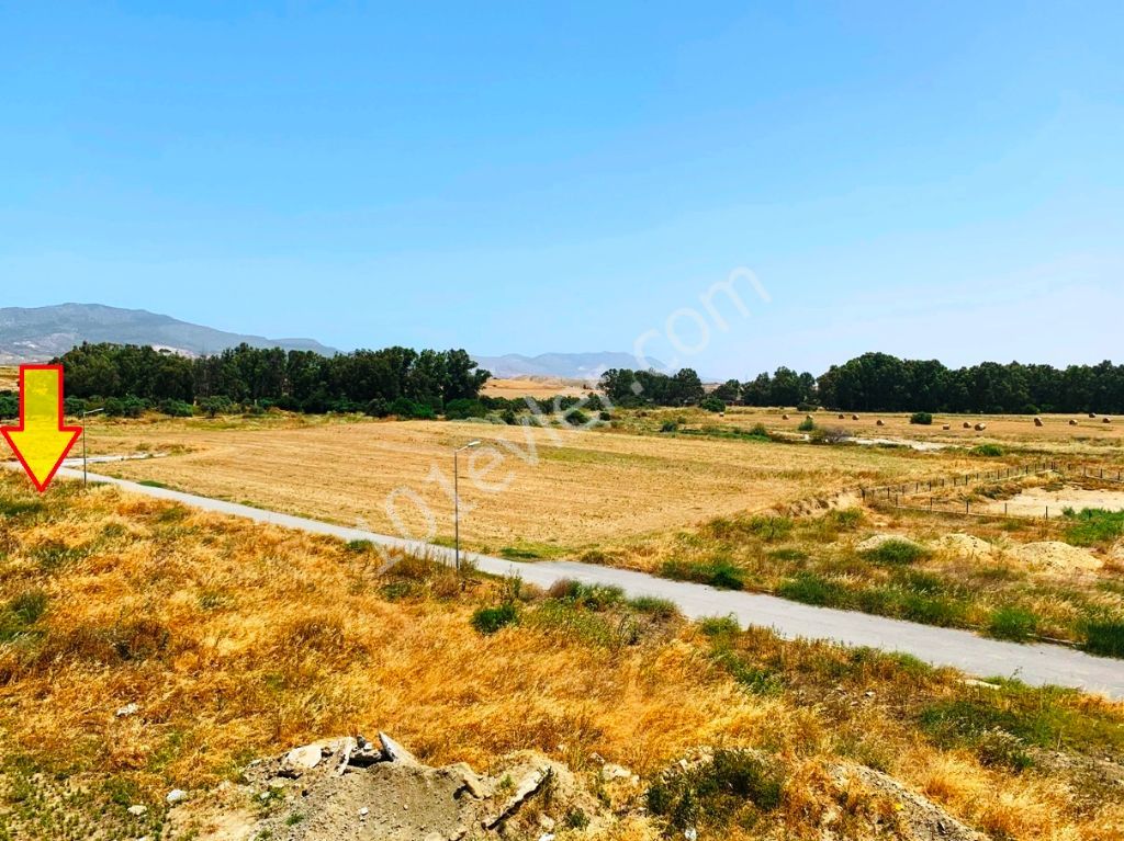 Residential Zoned Plot For Sale in Hamitköy, Nicosia