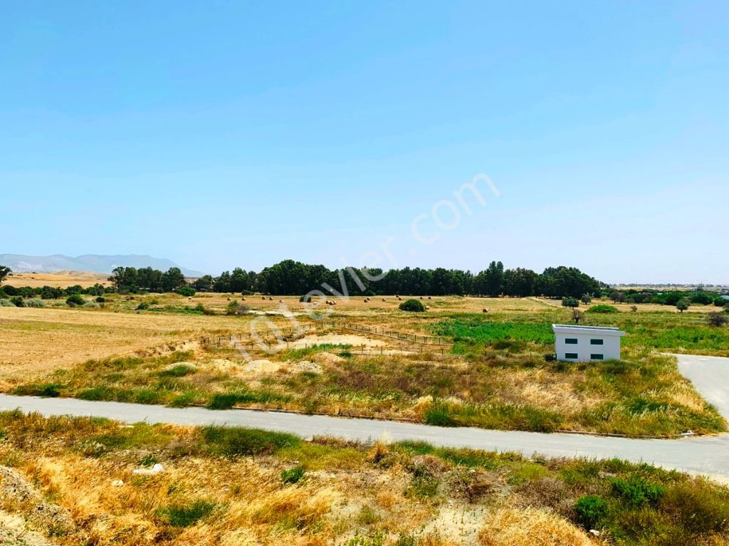 Residential Zoned Plot For Sale in Hamitköy, Nicosia