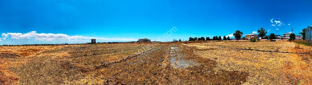 Lefkoşa-Minareliköy'de ANAYOL üzeri (ERÜLKÜ karşısı) 7,520 m2 (FASIL-96 İmarlı) Mükemmel Arsa Yatırım Fırsatı!