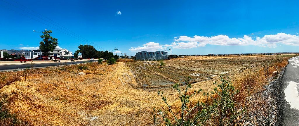 Residential Zoned Plot For Sale in Minareliköy, Nicosia