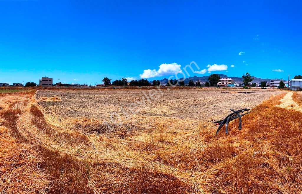 Lefkoşa-Minareliköy'de ANAYOL üzeri (ERÜLKÜ karşısı) 7,520 m2 (FASIL-96 İmarlı) Mükemmel Arsa Yatırım Fırsatı!