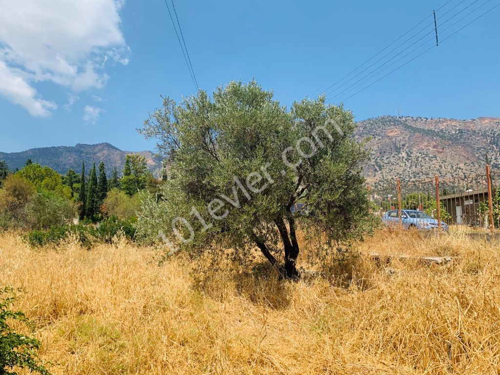 Residential Zoned Plot For Sale in Boğaz, Kyrenia