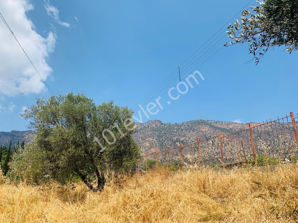 Residential Zoned Plot For Sale in Boğaz, Kyrenia