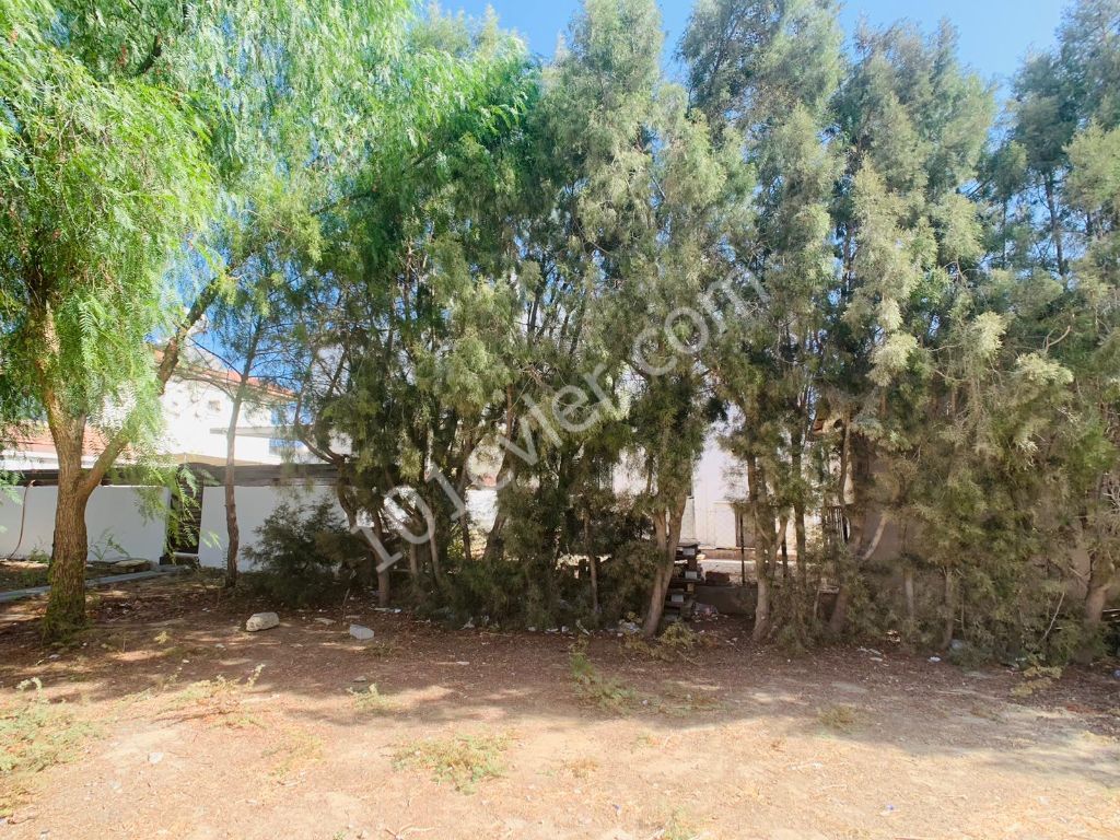 Semi Detached To Rent in Taşkınköy, Nicosia