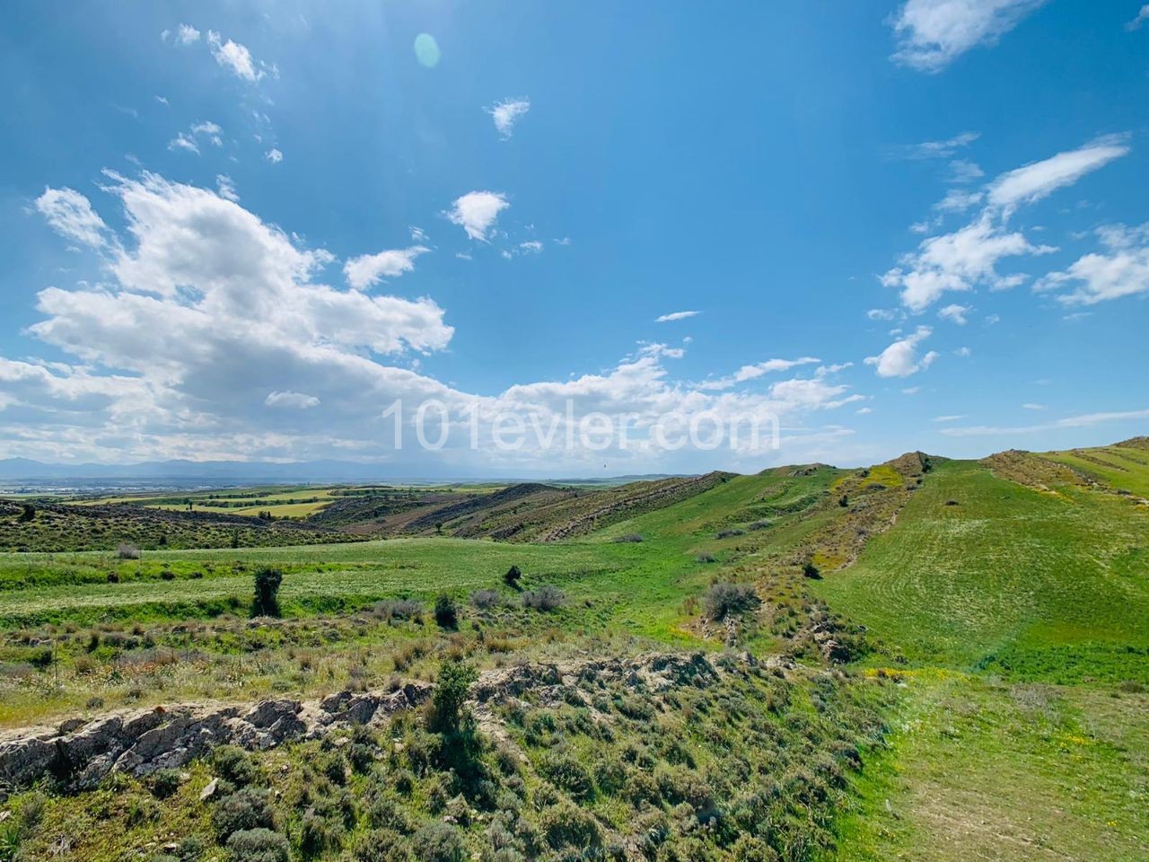 LEFKOŞA-GÖNYELİ'nin EN NEZİH Bölgesinde; PANORAMİK Manzaralı & Önü Kapanmayacak 955m2 Villalık ARSA!