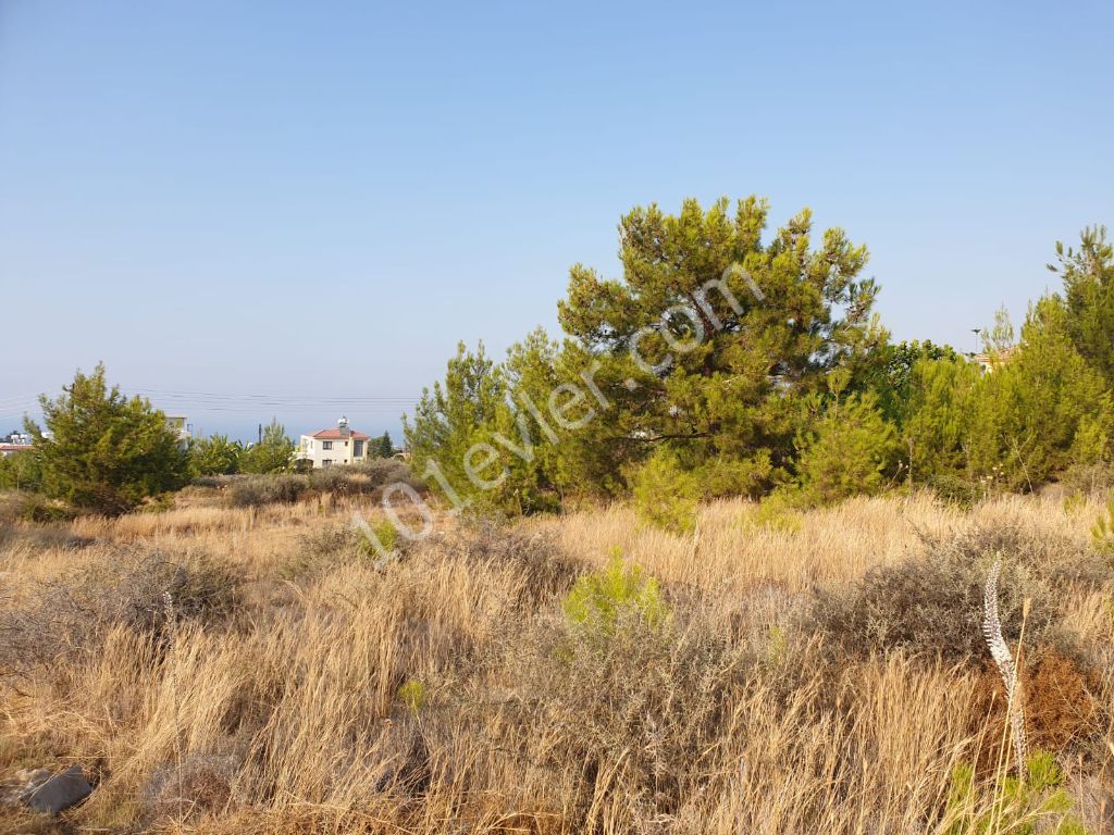 Residential Zoned Plot For Sale in Çatalköy, Kyrenia