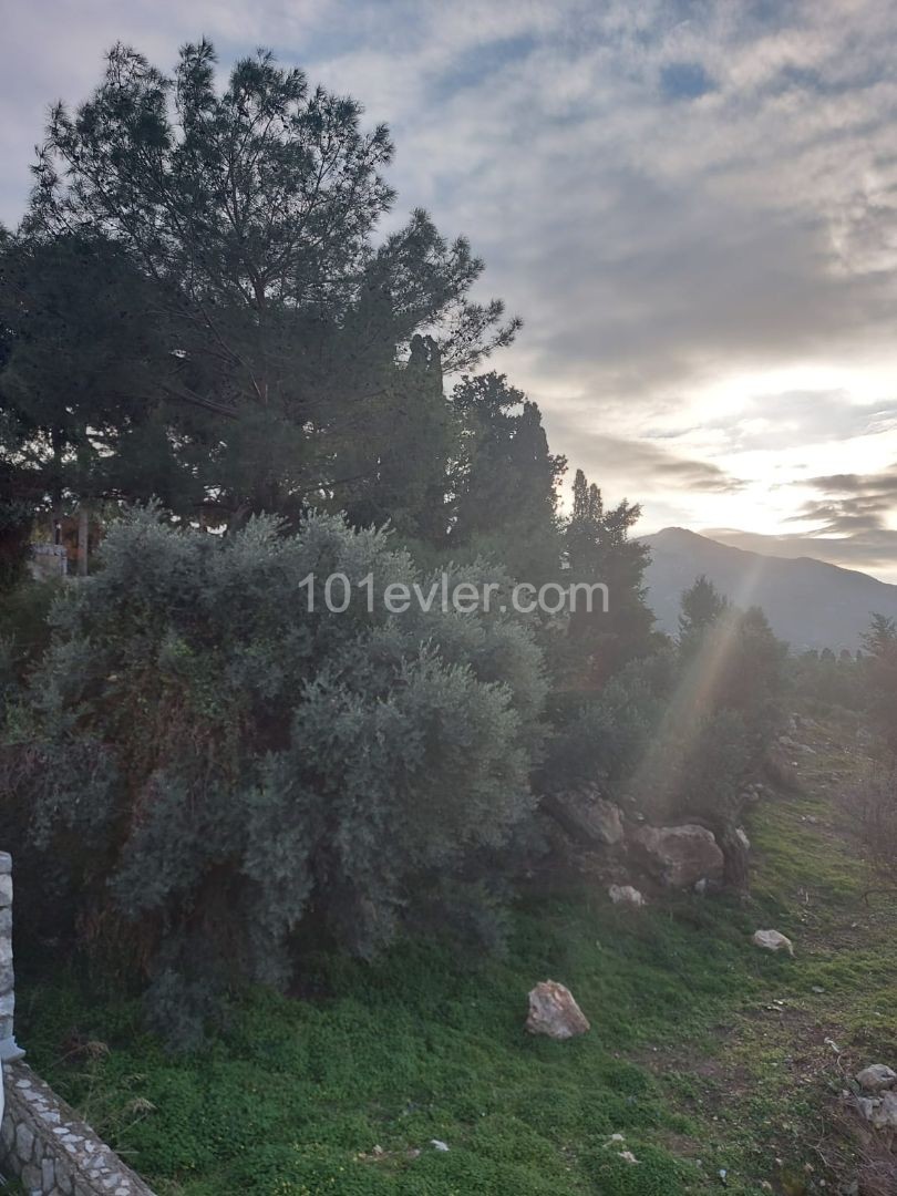 Residential Zoned Plot For Sale in Çatalköy, Kyrenia