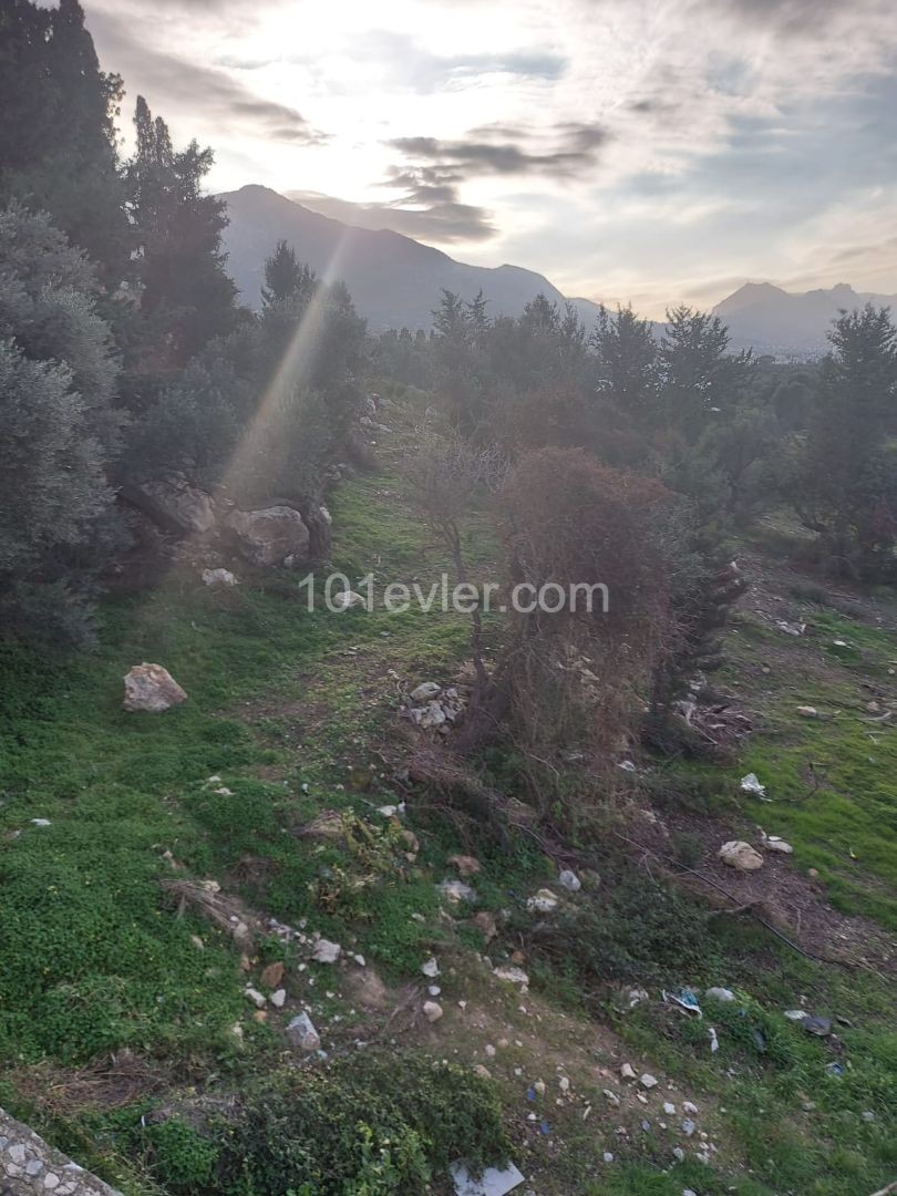 منطقه مسکونی برای فروش in Çatalköy, گیرنه