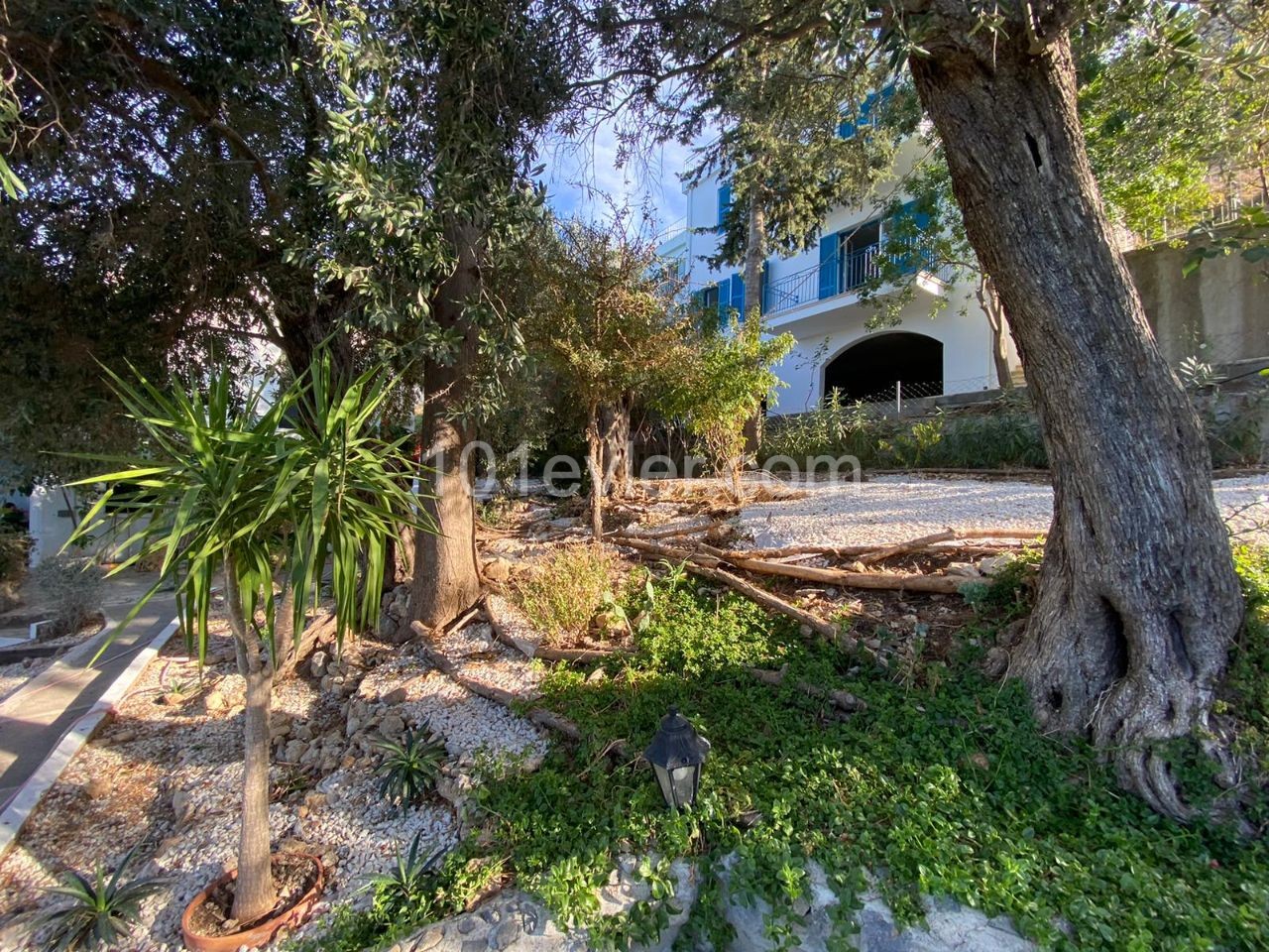 Einfamilienhaus Mieten in Karmi, Kyrenia