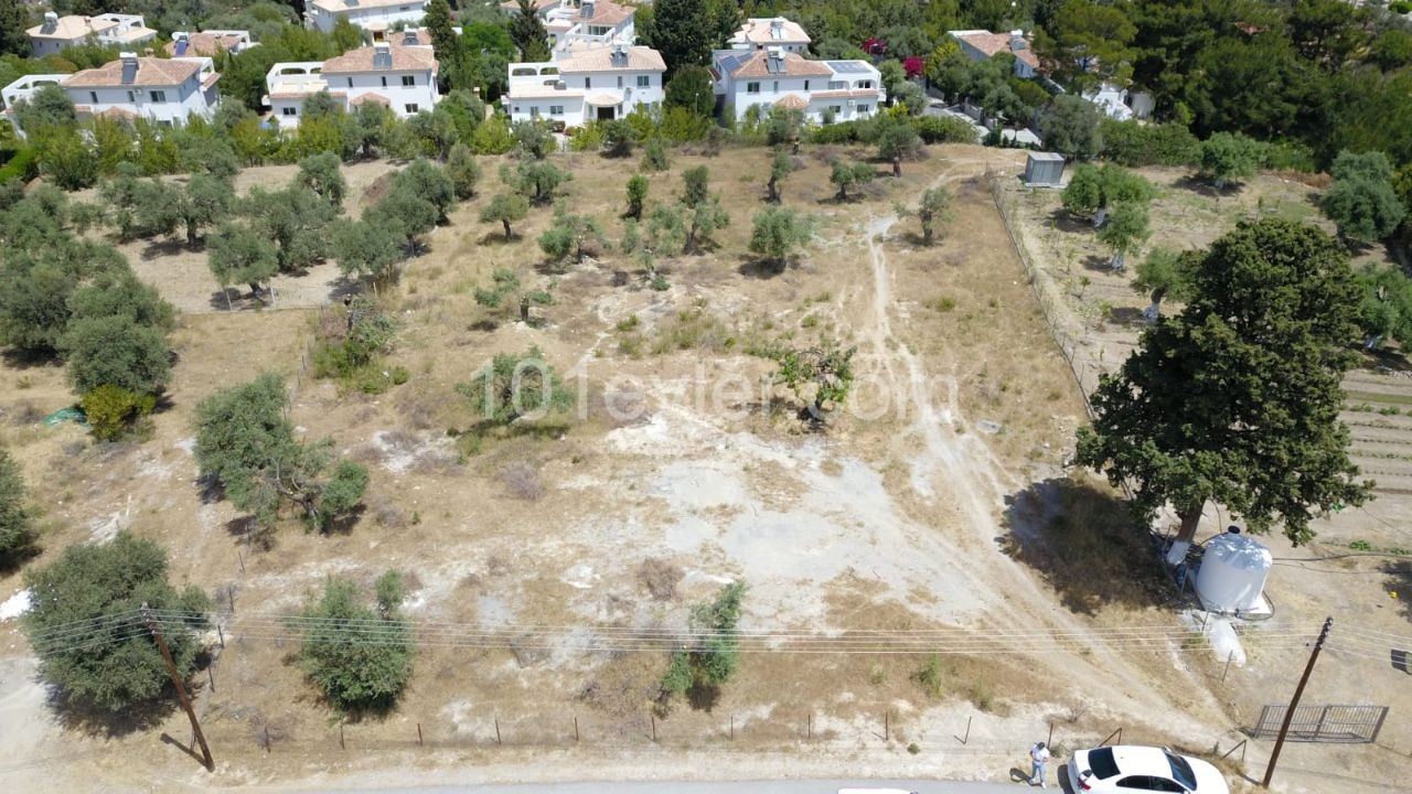 3 ACRES OF LAND FOR SALE IN KYRENIA ** 