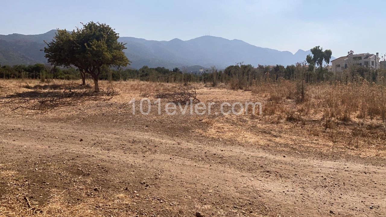 A PLOT OF LAND FOR SALE IN KYRENIA DEC ** 