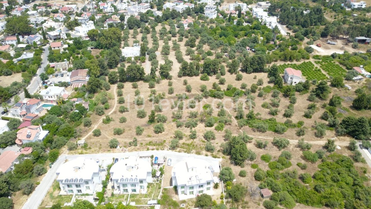 LAND FOR SALE IN OLIVE ** 