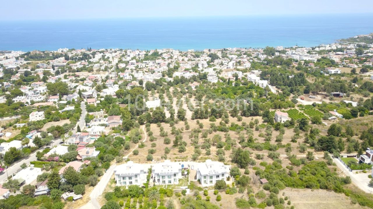 LAND FOR SALE IN OLIVE ** 