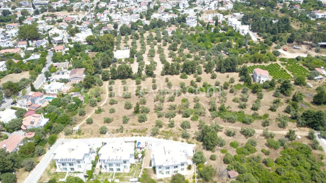 LAND FOR SALE IN OLIVE ** 