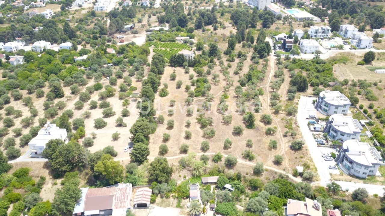 LAND FOR SALE IN OLIVE ** 