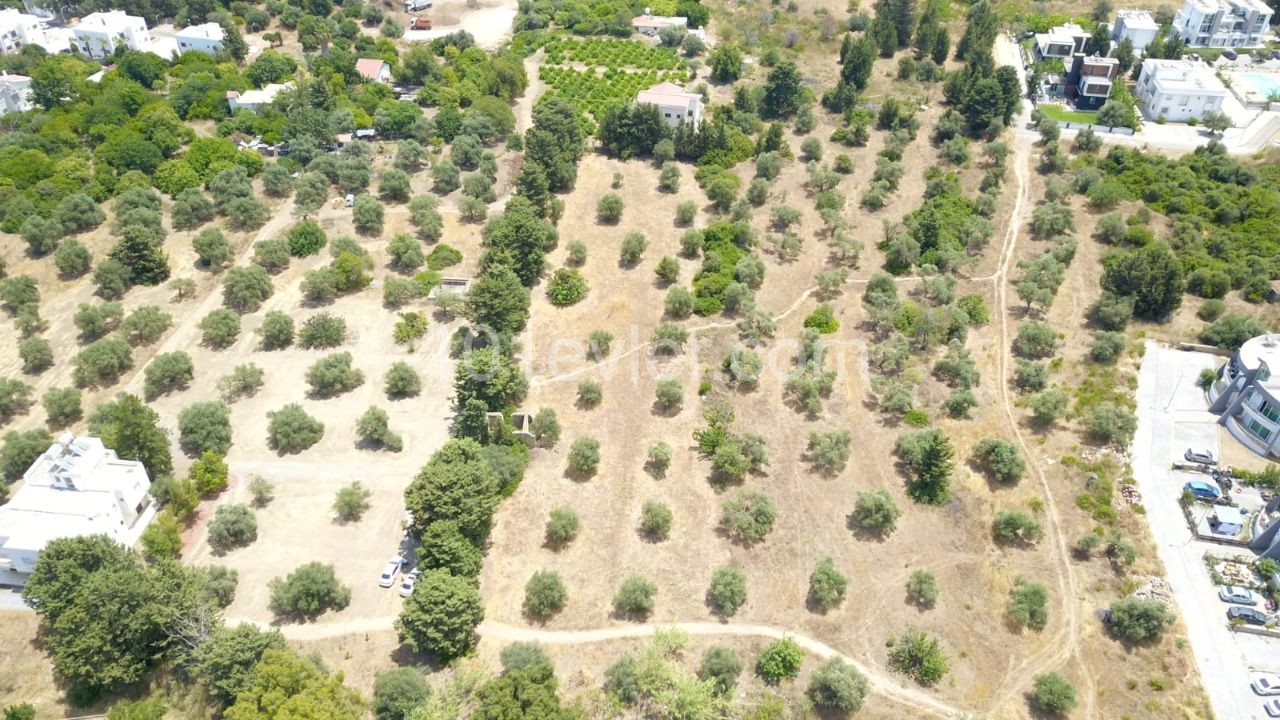 LAND FOR SALE IN OLIVE ** 