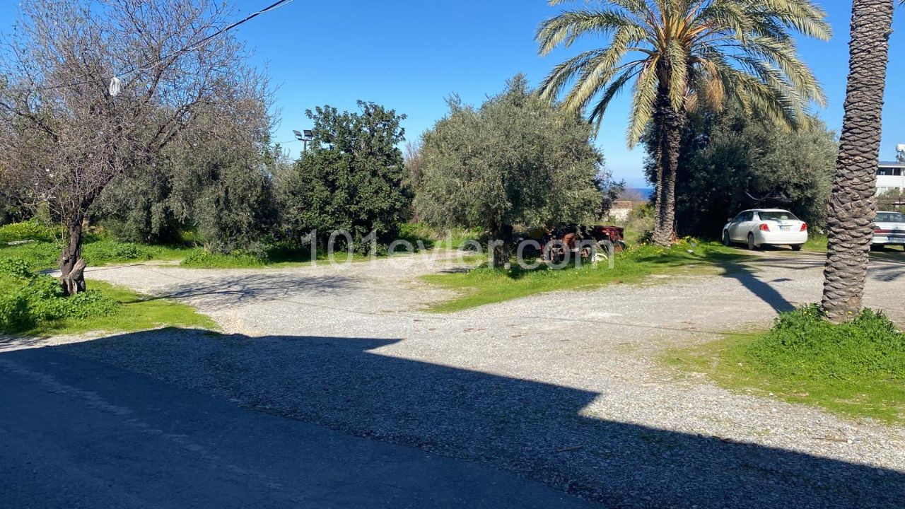 LAND FOR SALE IN ZEYTİNLİK ** 